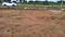 Vinayaka Nagar Plot View 1