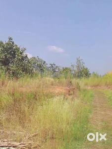 Residential Plot