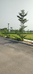 Image of 1386 Sq.ft Residential Plot / Land for sale in Spiti Palm Estate, Farukh Nagar, Gurgaon for Rs. 9700000