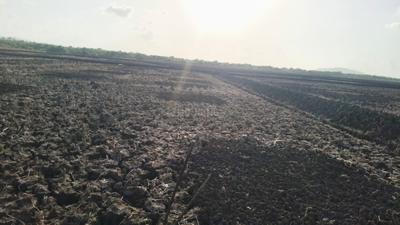 Image of 1089 Sq.ft Residential Plot / Land for sale in Koproli, Uran Taluka, Navi Mumbai for Rs. 399000