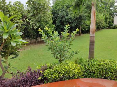 Image of 9800 Sq.ft 3 BHK Farm House for sale in Sikanderpur, Greater Noida for Rs. 8450000