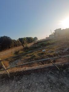 Sarojini Nagar Plot View 2
