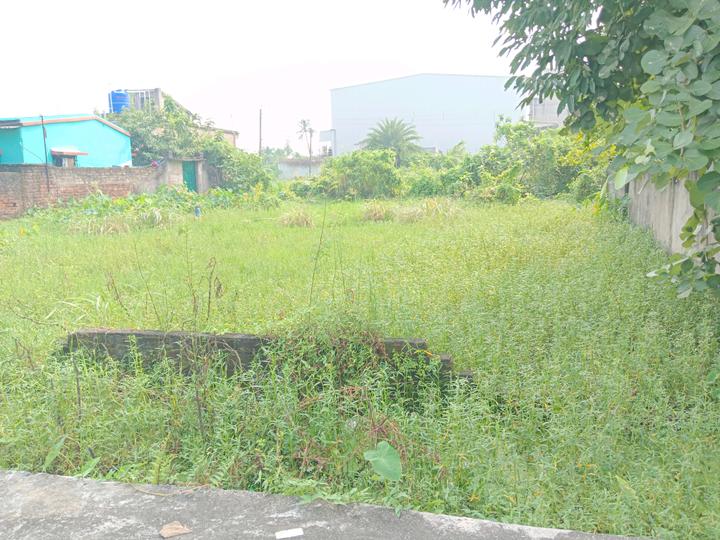 Bipadbhanjan Colony Plot View 1