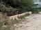 Charan bhatta rode Raibareli rode 1 km SGPGI Plot View 2