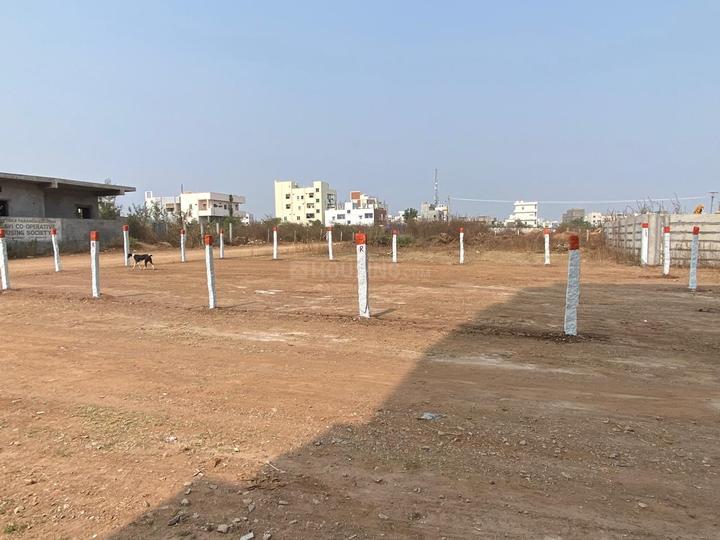 Paradise  Main Image 1