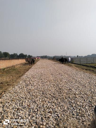 Vineet Khand 6, Gomti Nagar Main Image 1