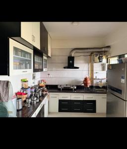 Kitchen Image of 1800 Sq.ft 2 BHK Apartment / Flat for rent in Paldi Ahmedabad for Rs. 25000