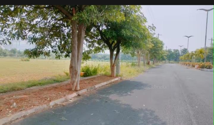 Ravada Main Image 1