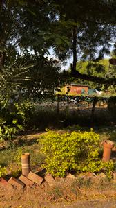 Image of 670 Sq.ft Residential Plot / Land for sale in Palam Vihar, Gurgaon for Rs. 185000000