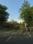 Cassia Fistula Estate Main Image 1