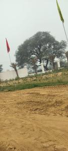 VKS Palm Drive Plot View 2