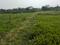 Sonargaon 2 Sonarpur Plot View 2