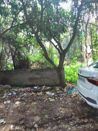 VL Lotus Ecstasy Main Image 1