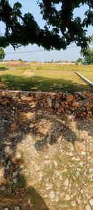 Rohania Plot View 2