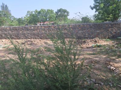 Rancharda Plot View 2