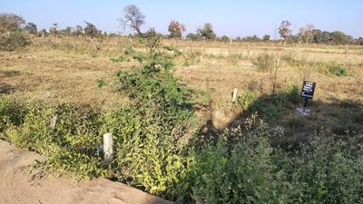 Sakri Plot View 1