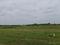 Padappai Plot View 1
