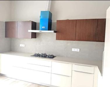 Kitchen Image of 7000 Sq.ft 5 BHK Independent House for rent in Ayali Kalan Ludhiana for Rs. 120000