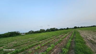 Image of 10000 Sq.ft Residential Plot / Land for sale in Becharaji, Mehsana for Rs. 5000000