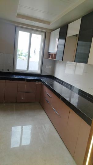 RR PAllACIA Main Image 1