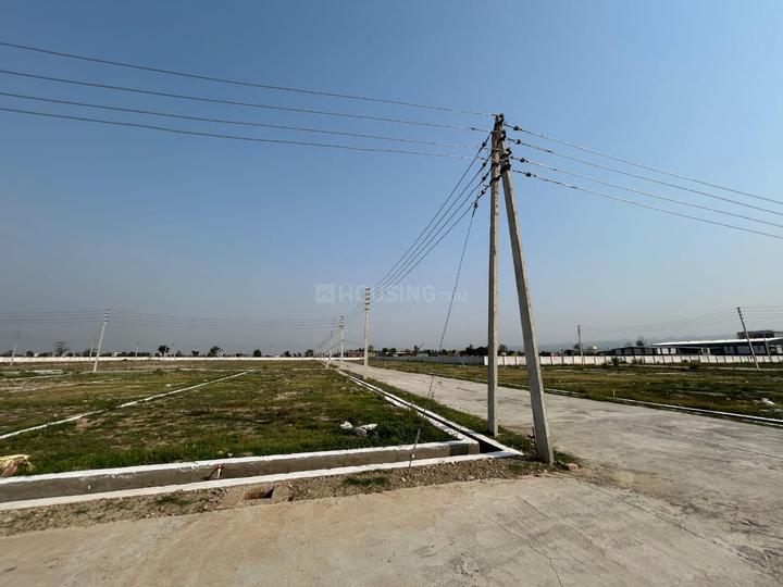 selaqui Main Image 1