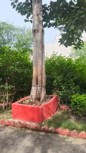 Danish Kunj Plot View 1