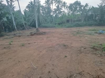 Image of 300 Sq.ft Residential Plot / Land for sale in Moolavattom, Kottayam for Rs. 2500000