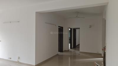 ABA Olive County Living Room 1