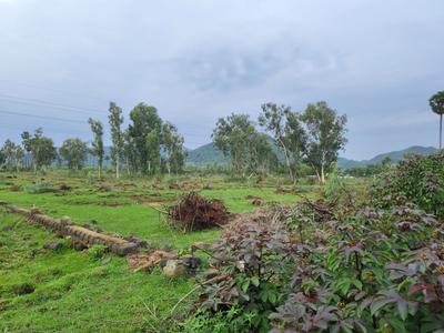Image of 200 Sq.ft Residential Plot / Land for sale in Mamidilova, Visakhapatnam for Rs. 5399800