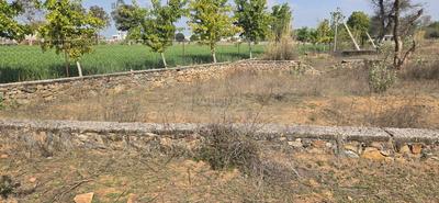 Anand Lok Plot View 1
