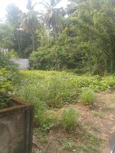 Image of 3659 Sq.ft Residential Plot / Land for sale in Chembukkav, Thrissur for Rs. 19300000