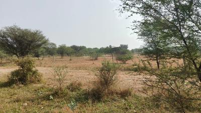 Image of 4050 Sq.ft Residential Plot / Land for sale in Jagatpura, Jaipur for Rs. 33750000