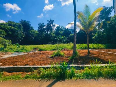 Image of 3045 Sq.ft Residential Plot / Land for sale in Kakkanad, Kochi for Rs. 6800000