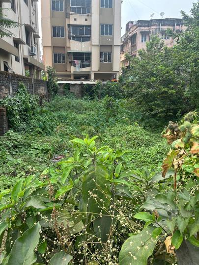 Madurdaha Main Image 1