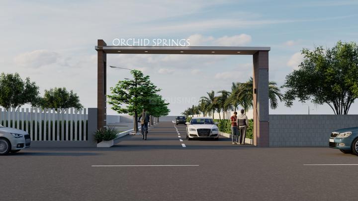 Orchid Springs Main Image 1