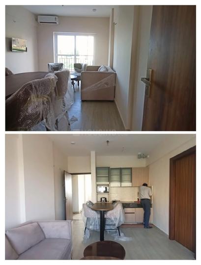 Halt express Main Image 1