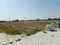 Dankaur Plot View 2