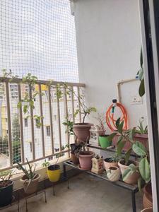 Balcony Image of 2030 Sq.ft 3 BHK Apartment / Flat for sale in DS Sangam Grand by DS-MAX Properties Private Limited, K R Puram Bengaluru for Rs. 21100000