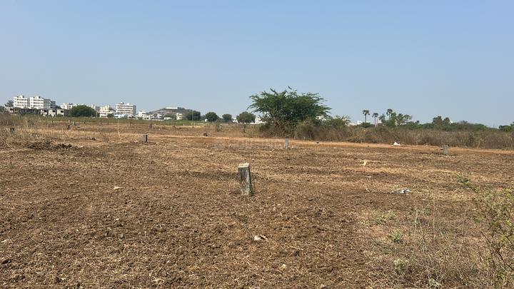 Sri kalpataru  Main Image 1