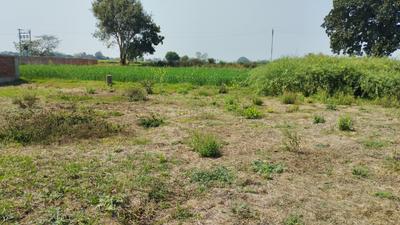 Image of 750 Sq.ft Residential Plot / Land for sale in Chirora, Patna for Rs. 1725000