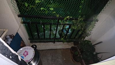 Balcony Image of 600 Sq.ft 1 BHK Apartment / Flat for sale in Kalwa Thane for Rs. 8200000