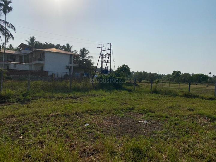 Nagaon Main Image 1