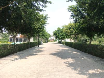 Image of 145 Sq.ft Residential Plot / Land for sale in BPTP District, Sector 81, Faridabad for Rs. 36250000