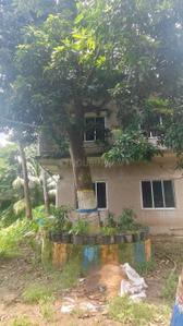 Image of 72000 Sq.ft 3 BHK Farm House for sale in Rajpur, Kolkata for Rs. 100000000