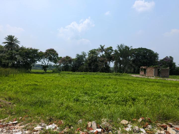 Bratachari Gram Main Image 1