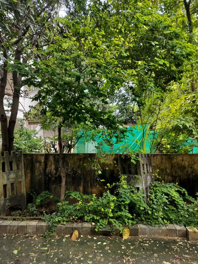 Uppal kalyan Main Image 1