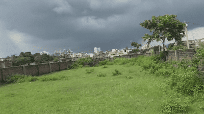 Itki Plot View 1