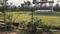 Tulsi Sunrise Main Image 1