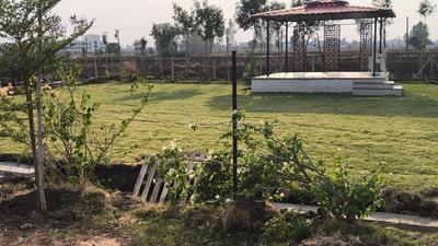 Tulsi Sunrise Plot View 1