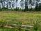 Image of 180 Sq.ft Residential Plot / Land for sale in Kothavalasa, Visakhapatnam for Rs. 2100000